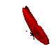 Kelebek